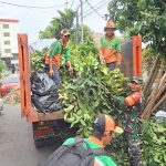 Babinsa Koramil 03/Senen Bersama Warga Dan Anggota PPSU Melaksanakan Kerja Bakti