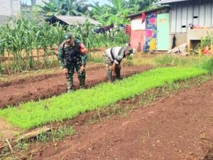 Tidak Menjadi Halangan, Babinsa Jatiraden Tetap Dampingi Urban Farming Dimasa Sibuk Pengamanan Pemilu 2024