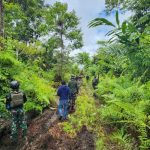 Satgas TMMD Ke-119 Kodim 1715/Yahukimo Terabas Hutan Dekai Untuk Buka Pembangunan Jalan Demi Masyarakat