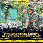 Penilaian Lomba Urban Farming di  Lahan Ketahanan Pangan  Batalion Arhanud 6/BAY