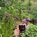 Manfaat Meminum Air Lemon Mampu Memperkuat Sistem Kekebalan Tubuh Dari Serangan Berbagai Macam Penyakit