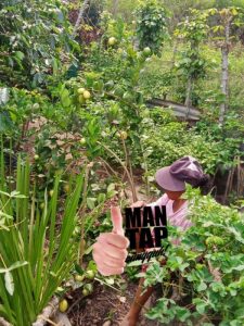 Manfaat Meminum Air Lemon Mampu Memperkuat Sistem Kekebalan Tubuh Dari Serangan Berbagai Macam Penyakit