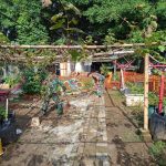 Babinsa Koramil 08/Duren Sawit Bersihkan Taman Anggur Pondok Bambu