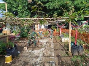 Babinsa Koramil 08/Duren Sawit Bersihkan Taman Anggur Pondok Bambu