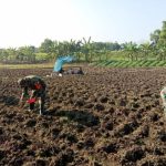 Dukung Program Hanpangan, Babinsa Koramil Kanor Bojonegoro bantu Petani Tanam Bibit Jagung