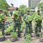 Babinsa Koramil 04/Gambir Laksanakan Perawatan Dan Pemeliharaan Urban Farming