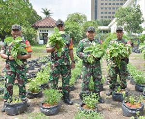 Babinsa Koramil 04/Gambir Laksanakan Perawatan Dan Pemeliharaan Urban Farming