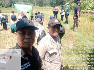 Peresmian Sumur Bor dan Tanam Padi, Langkah Nyata Dalam Mengatasi Kekeringan di Desa Dadangan Tuban