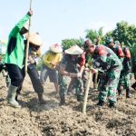 Penguatan Ketahanan Pangan, Kodim Bojonegoro Tanam Jagung Seluas 60 Hektar
