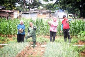 Uji Coba Tanam Bawang Merah Di Lahan Kering, Ternyata Hasilnya Super
