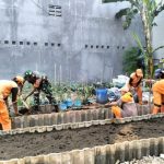 Manfaatkan Lahan Kosong, Babinsa Koramil Kramatjati Tanam Sayuran