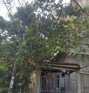 Pasca Diberitakan Terkait Bangunan Yang Sedang Di Renovasi, Mandor : Saya Dipinta Uang Oleh Oknum Wartawan