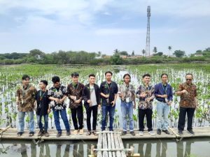 Teratai Institute Hadirkan Gerakan Menanam 1000 Mangrove
