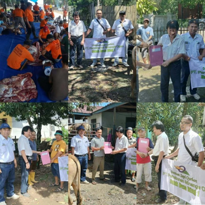 Hari Raya Idul Adha 2024, PT PMO Serahkan Bantuan Hewan Kurban di Desa Ring Satu