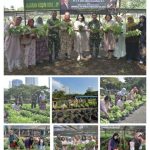 Dandim 0501/JP, Kolonel Inf Bangun I.E. Siregar, S.H., MIPOL. Ajak Persit dan Wartawan Panen Sayur
