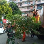 Bersama PPSU Dan Warga Binaan Babinsa 05/Tanah Abang Ciptakan Lingkungan Yang Bersih