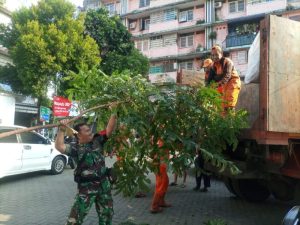 Bersama PPSU Dan Warga Binaan Babinsa 05/Tanah Abang Ciptakan Lingkungan Yang Bersih