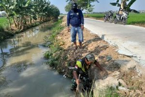“Aksi Babinsa dan Warga Atasi Kekeringan di Lahan Urban Farming Korem 051/Wkt!”