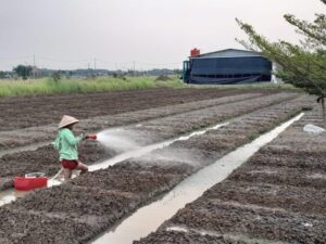 Gebrakan Baru Korem 051/Wkt: Budidaya Melon di Urban Farming, Dorong Pertanian Berkelanjutan dan Ekonomi Lokal