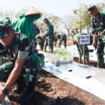 Kodim Bojonegoro, Optimalkan Lahan Kosong Tanam Ribuan Bibit Cabai