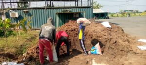 Penggunaan Kotoran Gajah sebagai Pupuk Organik di Urban Farming Korem 051/Wkt