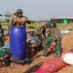 Babinsa Kodim Jajaran Korem 051/Wkt Terjun Langsung dalam Panen Bawang Merah untuk Ketahanan Pangan