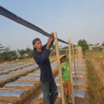 Korem 051/Wkt Tingkatkan Pertanian di Lahan Urban Farming dengan Pupuk Organik dan Budidaya Melon