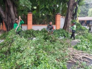 Bersama Dinas Pertamanan dan Kehutanan Babinsa Koramil 01/Menteng Laksanakan Penopingan Pohon