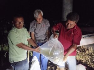 Formasi Kembali Tabur 10.000 Benih Ikan di Hutagurgur I
