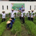 Sukses Panen Kangkung, Program Sae di Lapas Cilegon Makin Produktif