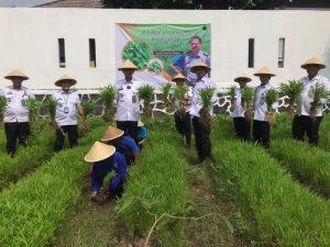 Sukses Panen Kangkung, Program Sae di Lapas Cilegon Makin Produktif