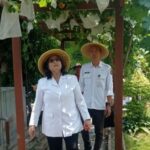 Pj Wali Kota Kediri Tinjau Kebun DKPP, Dukung Program Dalam Mencapai Ketahanan Pangan