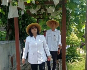 Pj Wali Kota Kediri Tinjau Kebun DKPP, Dukung Program Dalam Mencapai Ketahanan Pangan