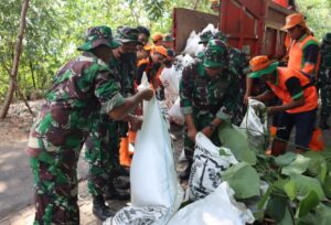 Kodim 0504/JS, Karya Bhakti Bersih-bersih Ciliwung