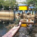 Bersinergi Bersama Tiga Pilar, Warga Dan Pemda Koramil 02/Sawah Besar Laksanakan Pembersihan Anak Kali Ciliwung