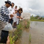 Dukung Usaha Perikanan Pemuda, Parsoban Gelar Tabur Benih Ikan Nila dan Penyerahan Bantuan Pakan