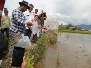 Dukung Usaha Perikanan Pemuda, Parsoban Gelar Tabur Benih Ikan Nila dan Penyerahan Bantuan Pakan