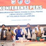 Penegakan Hukum Tegas untuk Perdagangan Benih Lobster Ilegal di Lampung