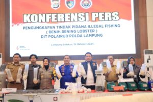 Penegakan Hukum Tegas untuk Perdagangan Benih Lobster Ilegal di Lampung