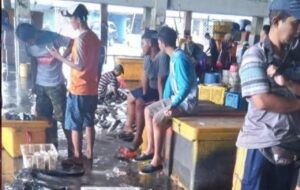 Langka Ikan, Pedagang Pasar Ikan Lamongan Mengeluh