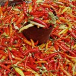 Harga Cabai di Pasar Tradisional Sumenep Mulai Merangkak Naik Rp2.000 Perkilogram