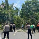 Gerak Cepat, Polres Kediri Kota dan DLHKP Evakuasi Pohon Tumbang