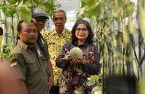 Pj. Walikota Kota Kediri Petik Melon di P4S Langgeng Mazaya Kelurahan Pakunden