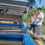 Teguh Haryono Kunjungi Pembibitan Ikan Lele, Siapkan  Bojonegoro Menuju Ketahanan Pangan