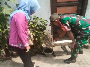 Berantas Demam Berdarah, Babinsa Koramil Setiabudi Bersama Kader Jumantik Laksanakan PSN