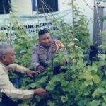 Bhabinkamtibmas Palmerah Bersama RW 17 Wujudkan Ketahanan Pangan Melalui Kebun Hidroponik
