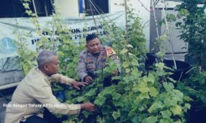 Bhabinkamtibmas Palmerah Bersama RW 17 Wujudkan Ketahanan Pangan Melalui Kebun Hidroponik