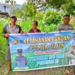 Bhabinkamtibmas Polsek Silaen Dukung Ketahanan Pangan Nasional