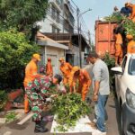 Babinsa Koramil 04/Gambir Bersama PPSU laksanakan Kerja Bakti Penopingan Pohon