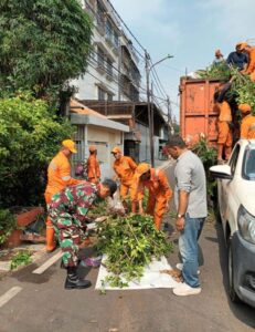 Babinsa Koramil 04/Gambir Bersama PPSU laksanakan Kerja Bakti Penopingan Pohon